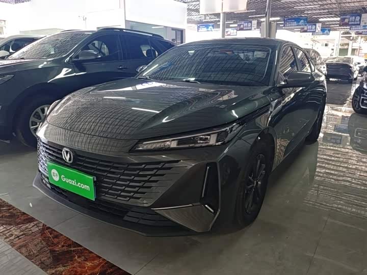 Yida 2023 Blue Whale NE 1.5T GDI DCT Exclusive Type