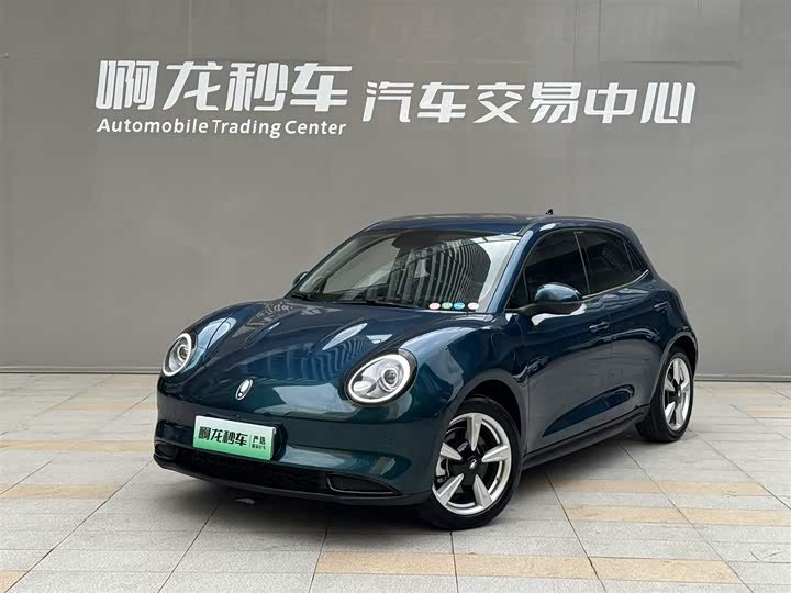 Euler Good Cat 2022 model 400km standard battery life premium model ternary lithium