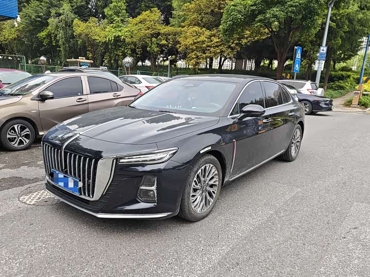 Hongqi H5 2023 2.0T Automatic Zhilian Qichang Edition