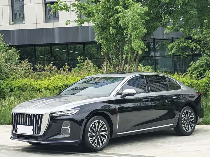 Hongqi H5 2024 2.0T Automatic Zhilian Qichang Edition
