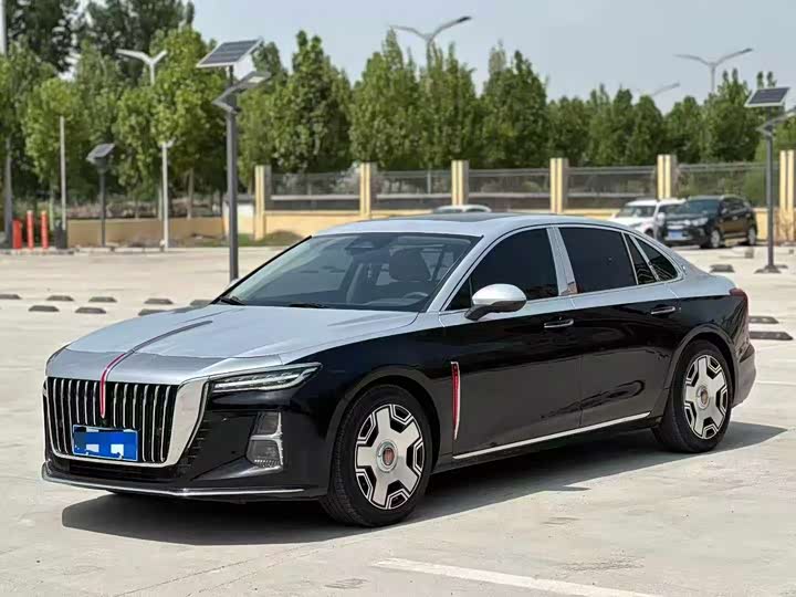 Hongqi H5 2024 2.0T Automatic Zhilian Qichang Edition