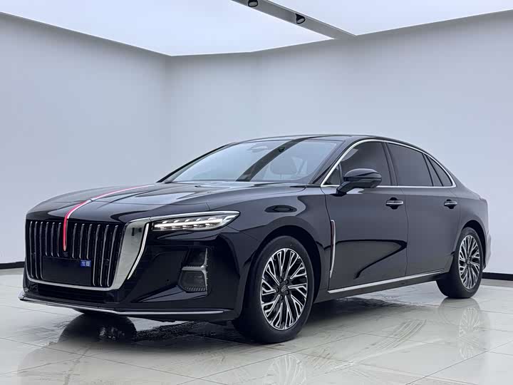 Hongqi H5 2024 2.0T Automatic Zhilian Qichang Edition