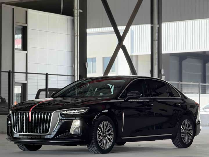 Hongqi H5 2024 2.0T Automatic Zhilian Qichang Edition