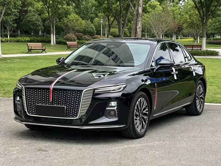 Hongqi H5 2023 2.0T Automatic Zhilian Qichang Edition