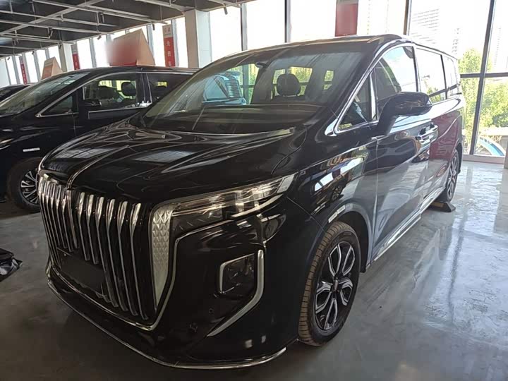 Hongqi HQ9 2023 2.0T Zhilian Flagship Edition