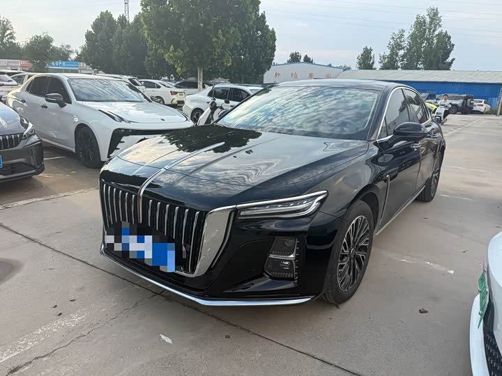 Hongqi H5 2025 2.0T automatic Qichang version