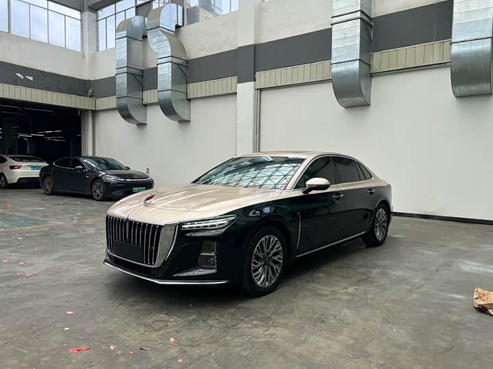 Hongqi H5 2023 2.0T Automatic Zhilianqichang Edition