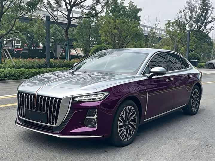 Hongqi H5 2023 2.0T Automatic Zhilian Qichang Edition