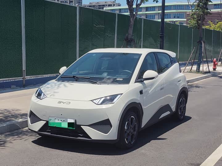 Seagull 2025 smart driving version 305km free version