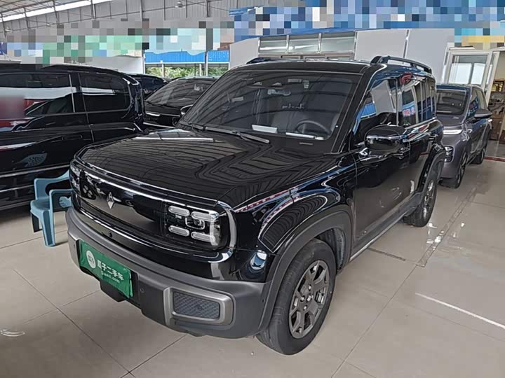 Baojun Yueye Plus 2024 Zhizun Edition 4 seats