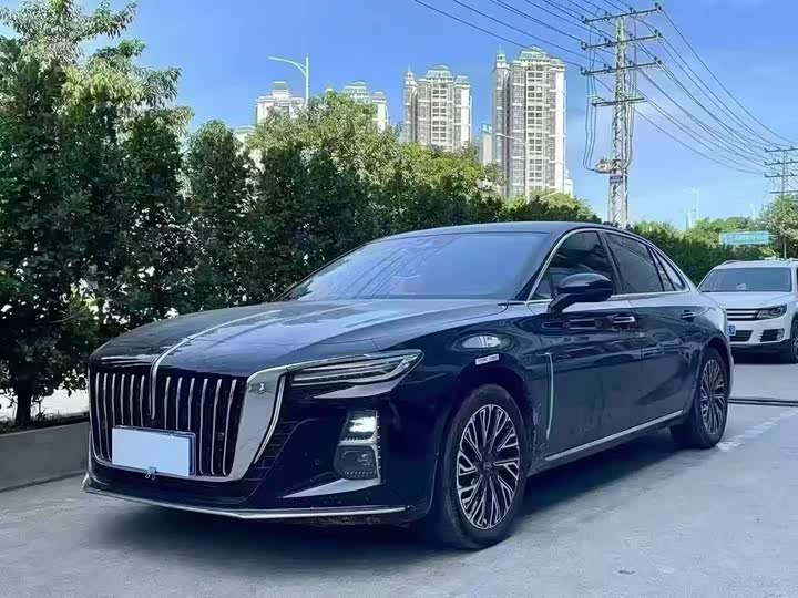Hongqi H5 2024 2.0T Automatic Zhilian Qichang Edition