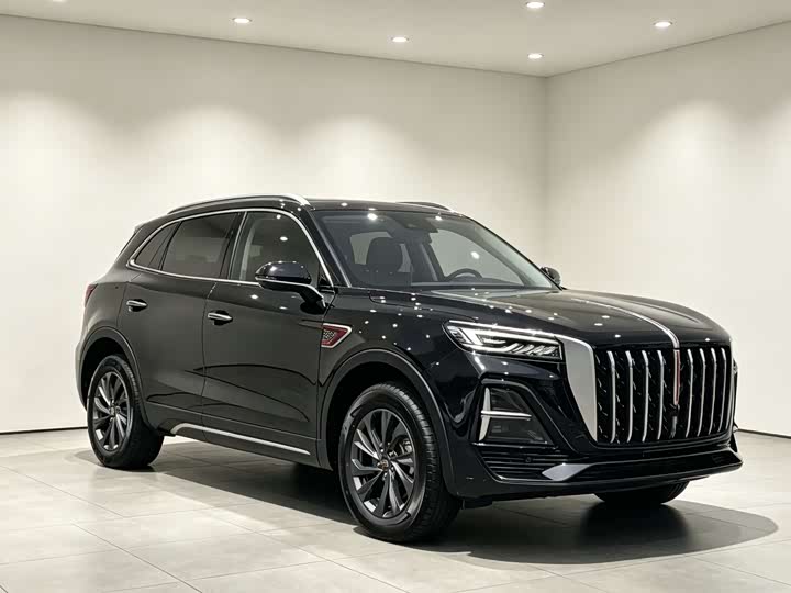 Hongqi HS5 2025 2.0T two-wheel drive Qixiang Pro version