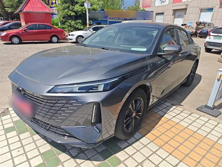 Yida 2023 Blue Whale NE 1.5T GDI DCT Exclusive Type