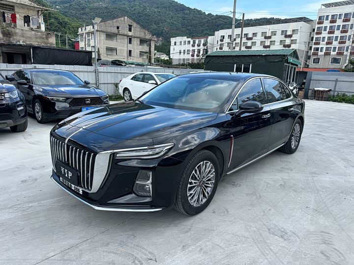 Hongqi H5 2024 2.0T Automatic Zhilian Qichang Edition