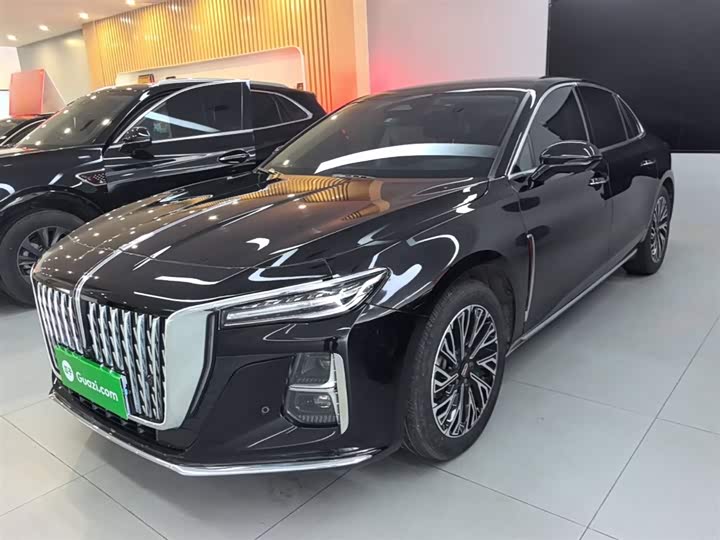 Hongqi H5 2024 2.0T Automatic Zhilian Qichang Edition
