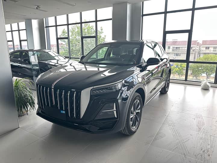 Hongqi HS5 2025 2.0T two-wheel drive Qixiang Pro version