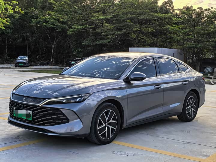 Qin L 2024 DM-i 120KM Leading Edition