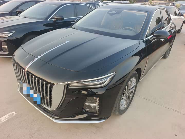 Hongqi H5 2024 2.0T Automatic Zhilian Qichang Edition