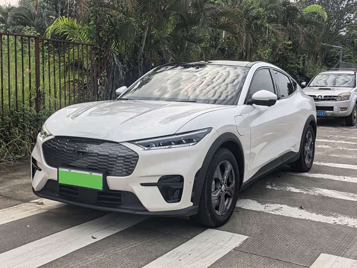 Ford Electric Horse 2021 Rear-wheel drive version (standard range)