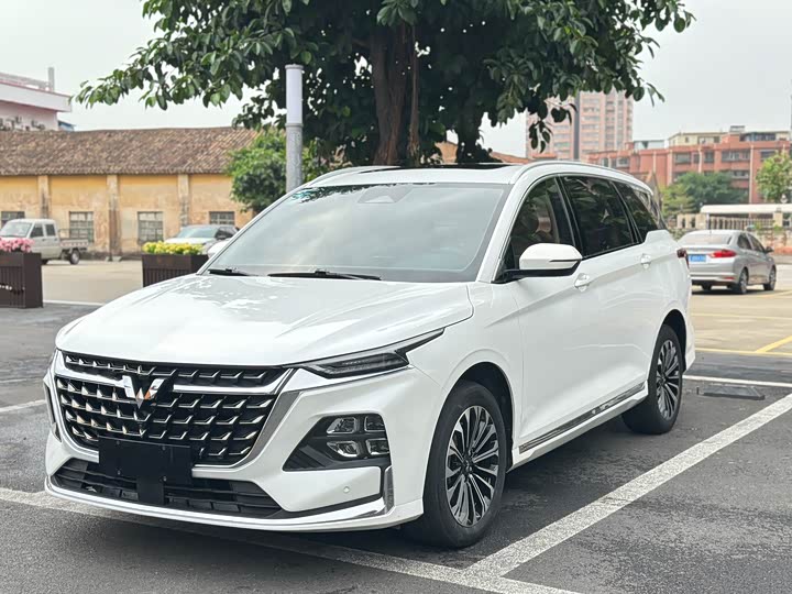 2023 Wuling Capgemini 2023 2.0L DHT luxury model