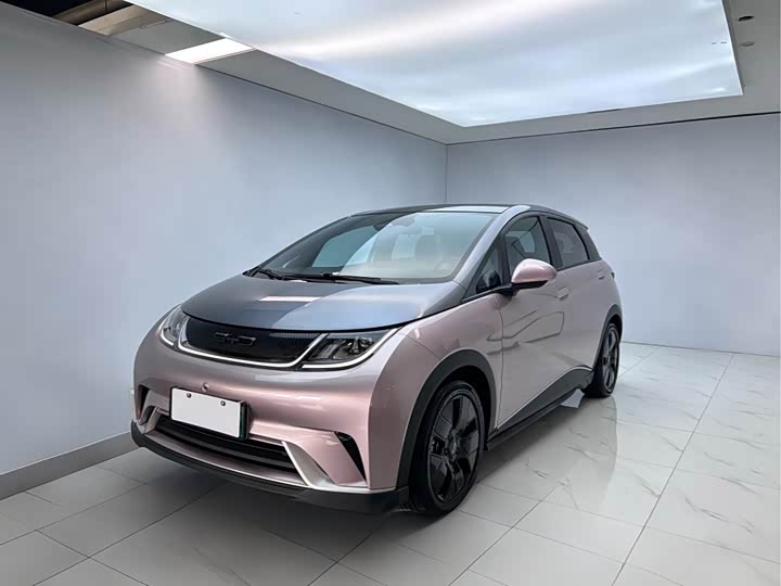 Dolphin 2021 401km Knight Edition