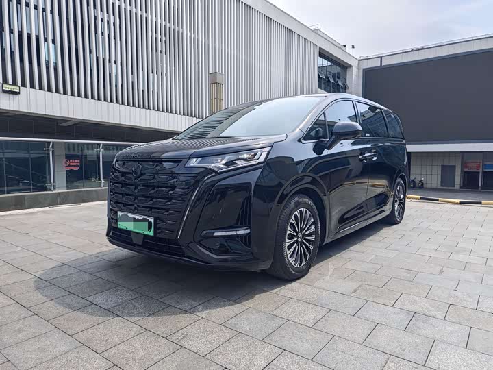 Denza D9 2024 PIONEER four-seater premium version
