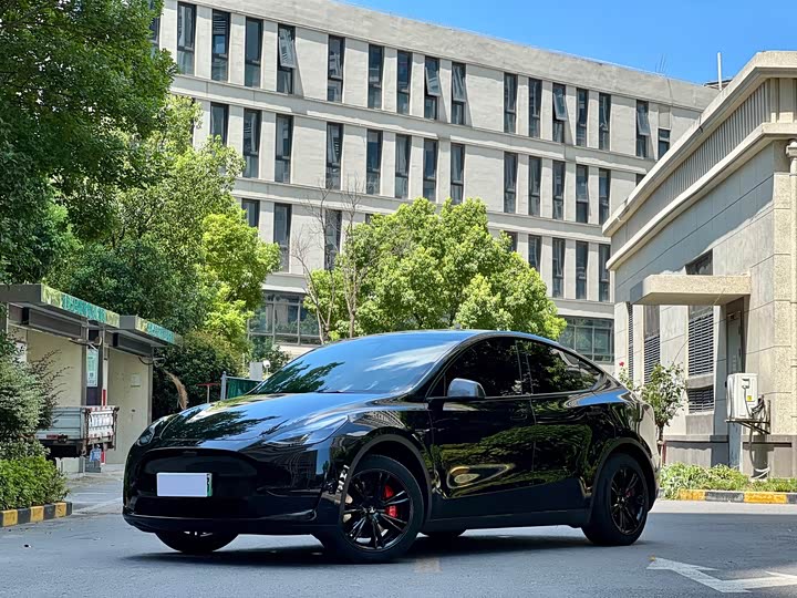 Model Y 2022 rear-wheel drive version