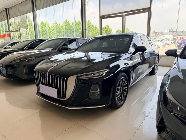 Hongqi H5 2023 2.0T Automatic Zhilian Qichang Edition