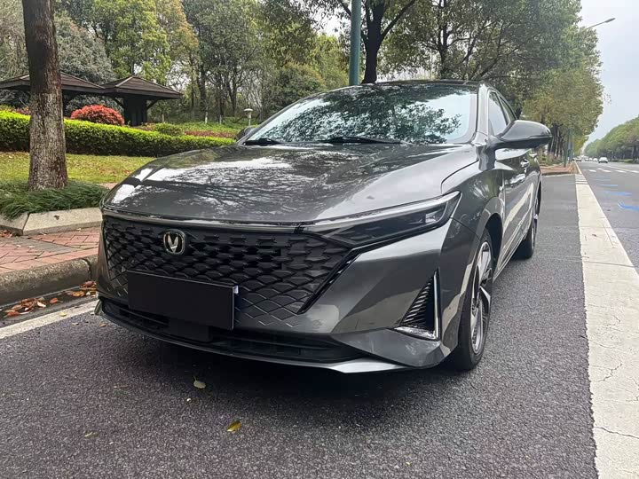 Ruicheng PLUS 2023 1.5T DCT Pilot Edition