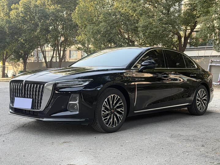 Hongqi H5 2023 2.0T Automatic Zhilian Qichang Edition
