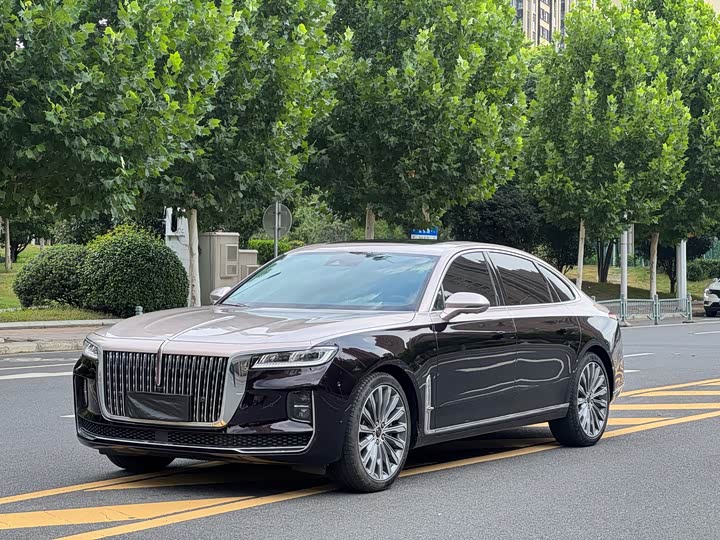 Hongqi H9 2022 2.0T Zhilian Qichang Edition