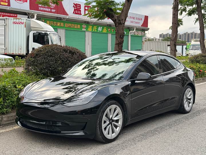 Model 3 2021 facelift standard range rear drive upgraded version 3D1