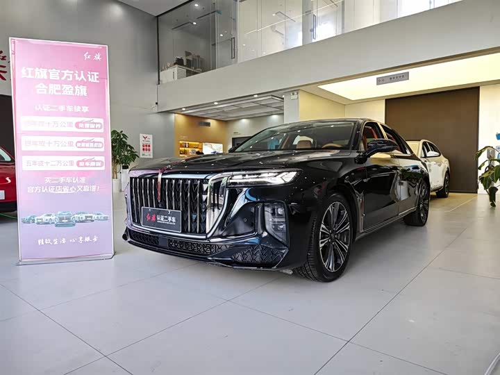 Hongqi H9 2024 2.0T Qixiang Private Fashion Edition