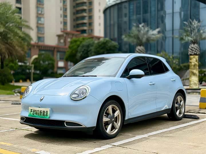Euler Good Cat 2021 model 400km standard battery life Venus version ternary lithium