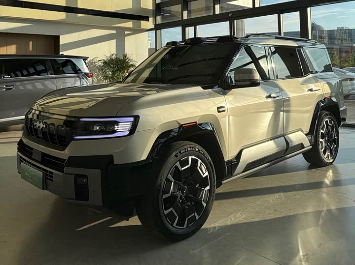 Leopard 8 2025 Zhiyong flagship version 7 seats