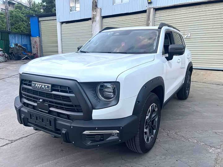 Havaldog 2024 2.0T DCT Chinese Pastoral Dog Edition