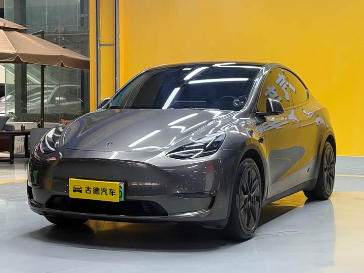 Model Y 2021 standard range rear-wheel drive version