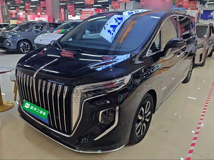 Hongqi HQ9 2023 2.0T Zhilian Qiling Edition