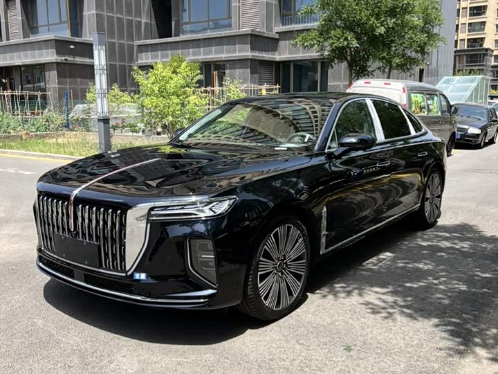 Hongqi H9 2025 2.0T two-wheel drive Qixiang luxury business version 5 seats