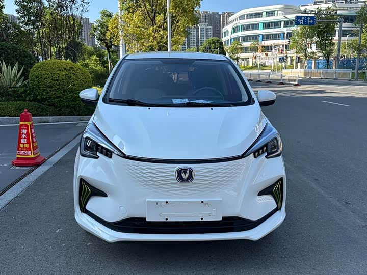 Changan Benben E-Star 2022 Qingxin Edition Colorful Edition Lithium Iron Phosphate