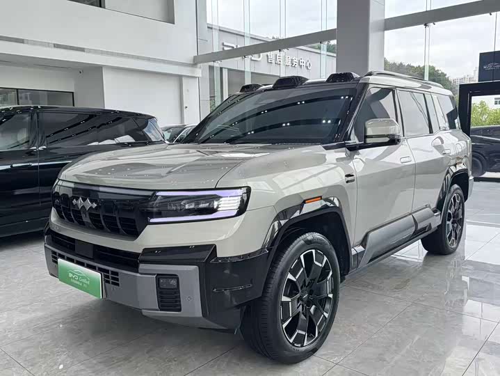 Leopard 8 2025 Zhiyong flagship version 6 seats