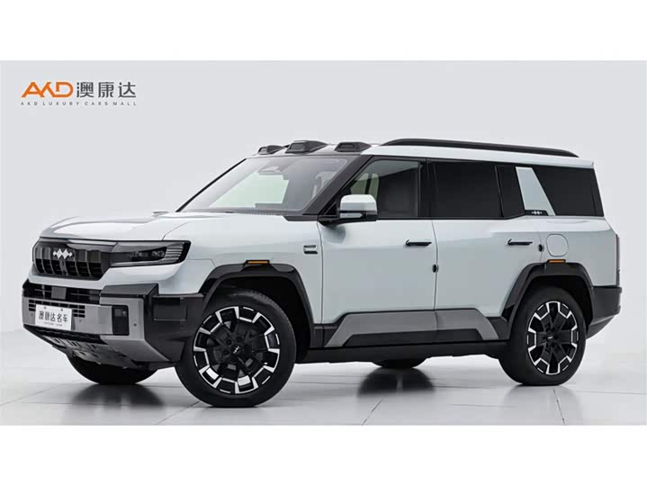 Leopard 8 2025 Zhiyong flagship version 7 seats