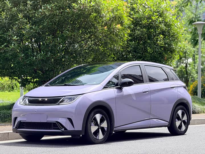 BYD Dolphin 2023 420km Fashion Edition