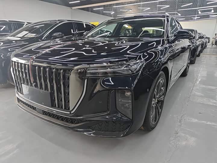 Hongqi H9 2024 2.0T Qichang Private Fashion Edition