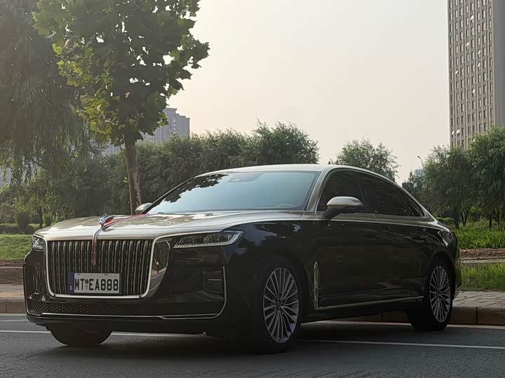 Hongqi H9 2020 2.0T Zhilian Qixiang Edition