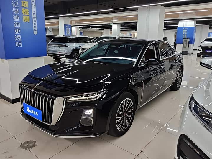 Hongqi H5 2024 2.0T Automatic Zhilian Qichang Edition