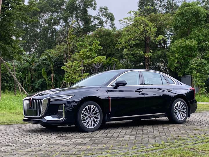 Hongqi H5 2024 2.0T Automatic Zhilian Qichang Edition