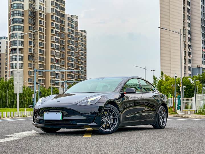 Tesla Model 3 2022 Rear-Wheel Drive