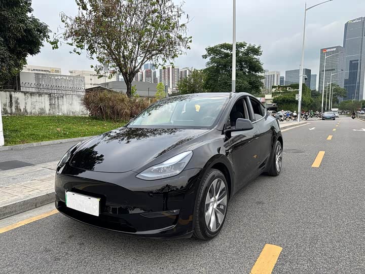Model Y 2021 Model Long Range Edition 3D7