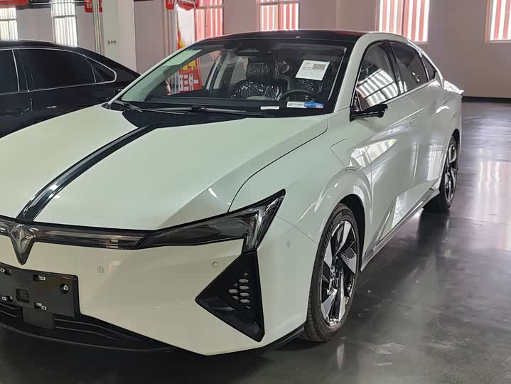Lingxi L 2025 Model Player One Edition Super Double Option Package